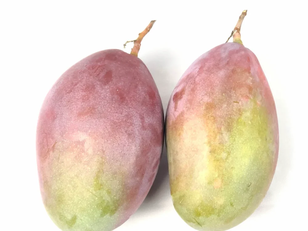 Mangos 1 pieza