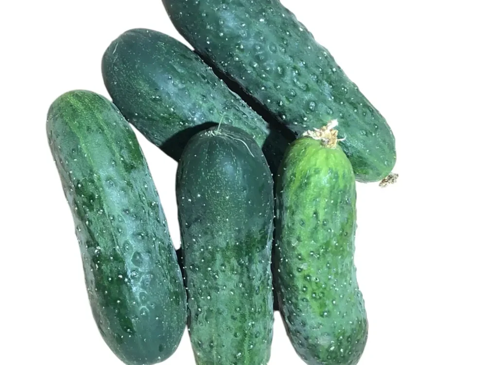 Pepinos 1Kg