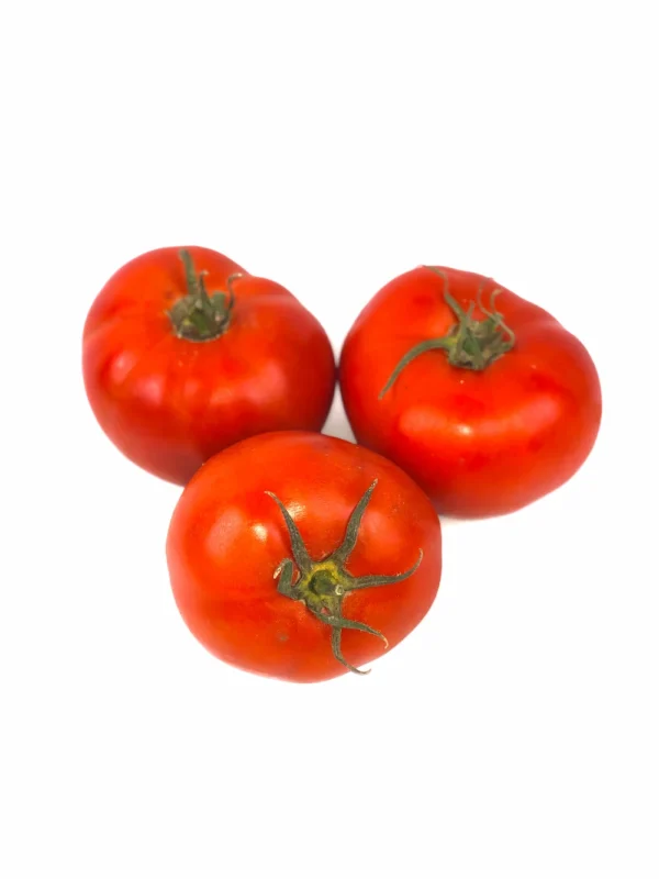 tomate liso
