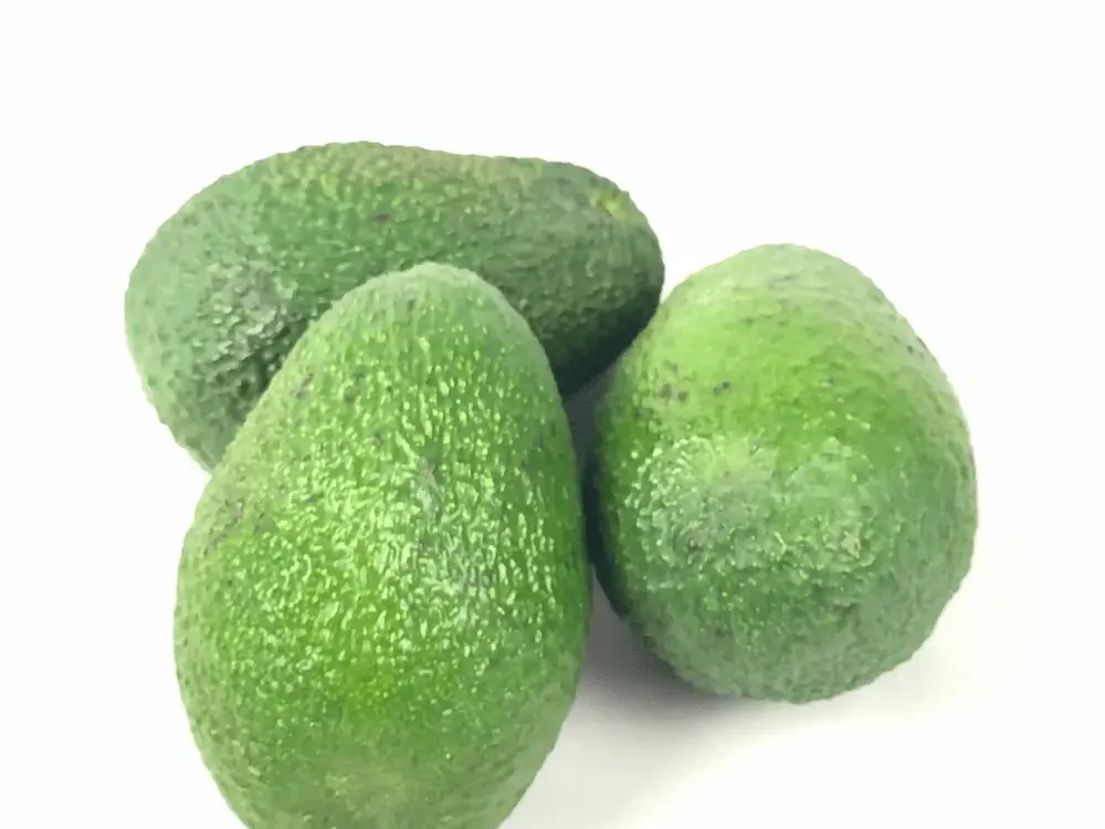 aguacate