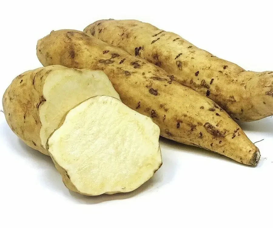 Boniato Blanco 1Kg