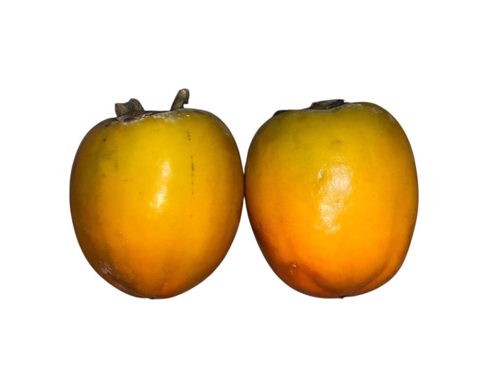 Kaki 1Kg