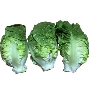 1 Paquete lechuga cogollos 3 unid.