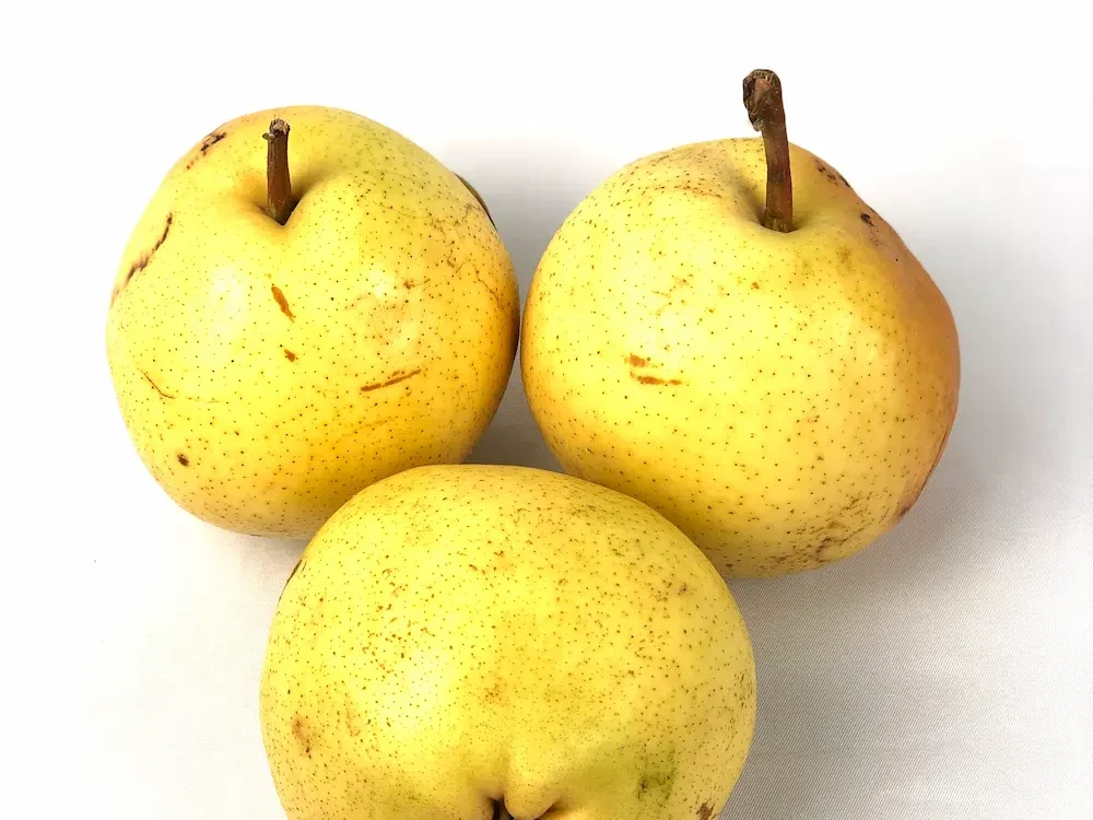 Pera Flor de Invierno 1Kg