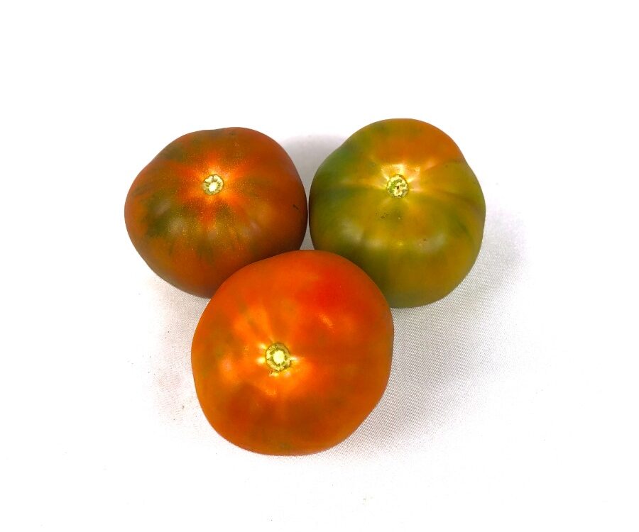 Tomate liso 1Kg