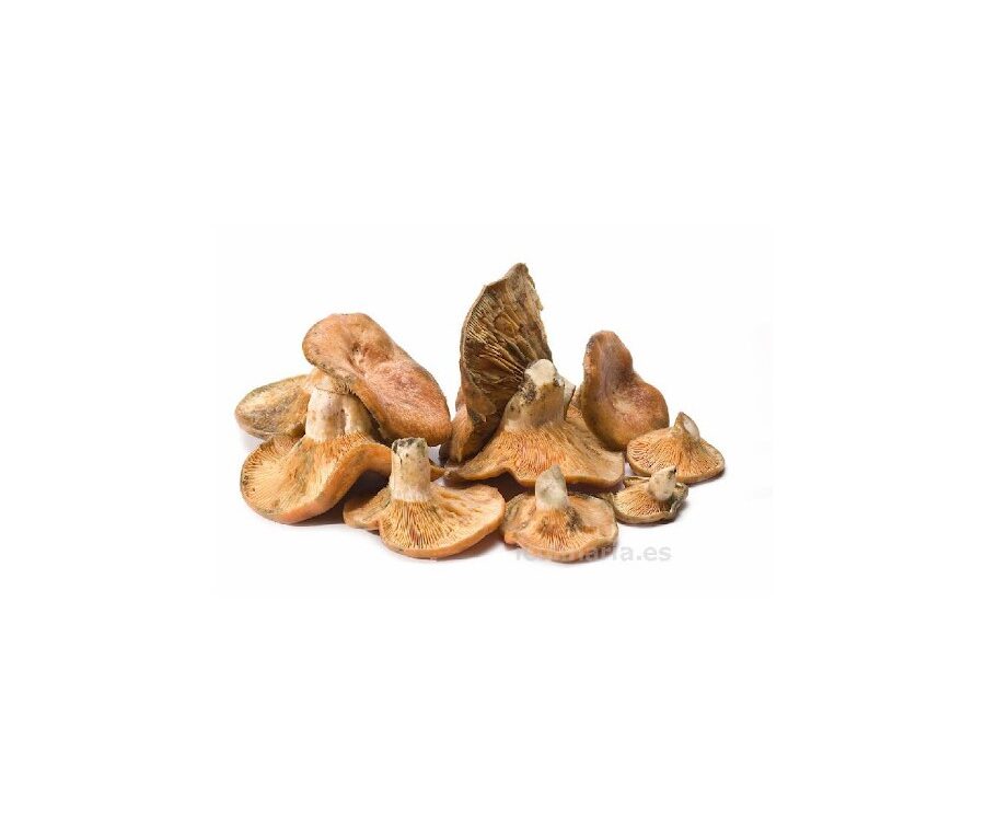 Guiscano 1 KG