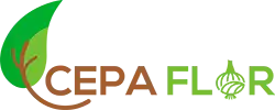Cepaflor logo