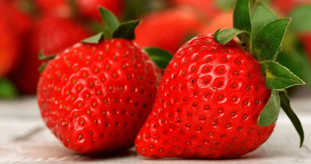 fresas del agricultor