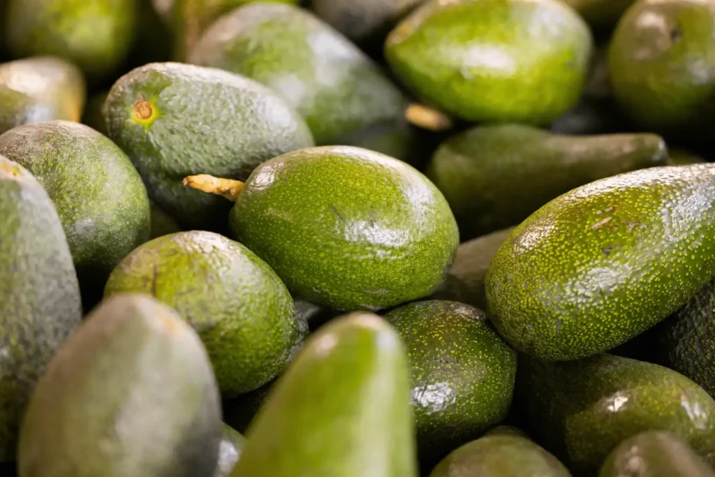 aguacate es fruta o verdura