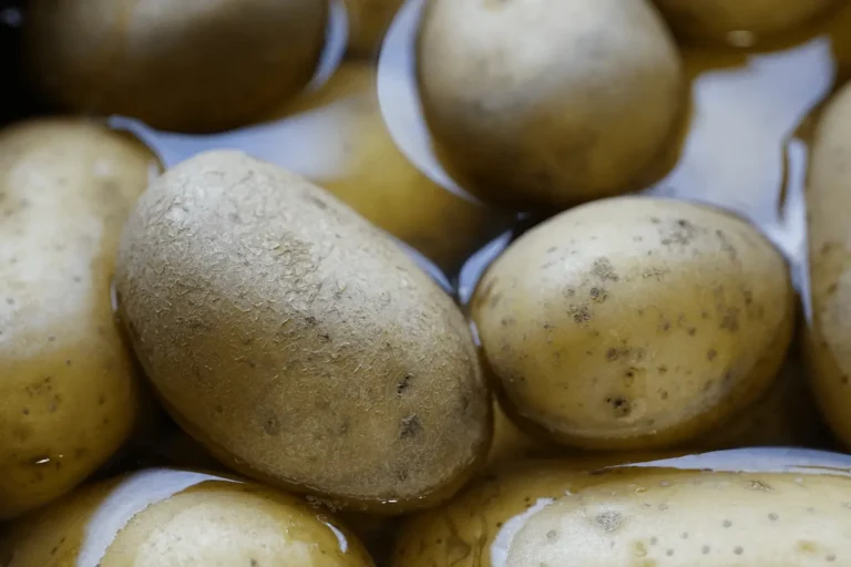 verduras altas en potasio